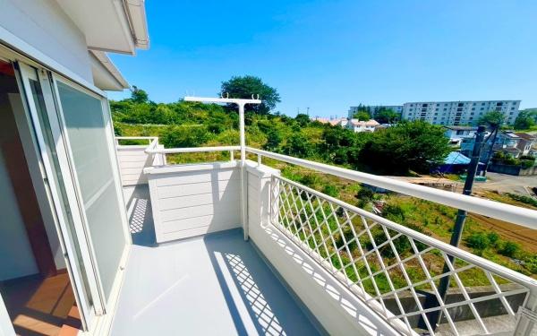 �_�ސ쌧���l�s�`����뒬�̒��È�ˌ��Ẵo���R�j�[