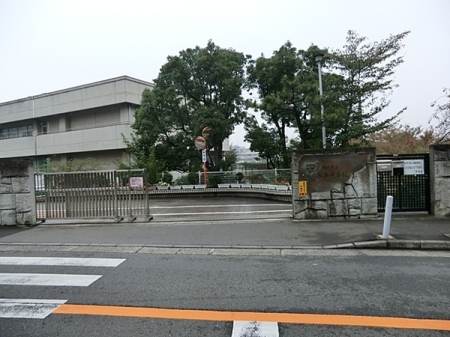 �_�ސ쌧���l�s�_�ސ��_�厛1���ڂ̒��Ã}���V�����̎��ӊ�
