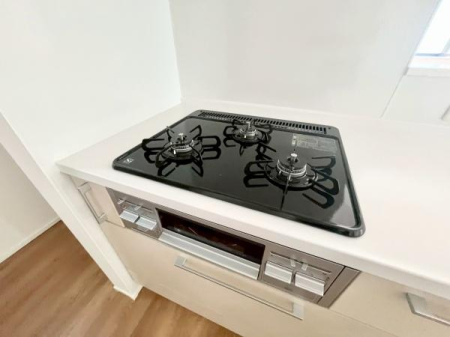 �_�ސ쌧���q�s���ܒJ2���ڂ̐V�z��ˌ��ẴL�b�`��