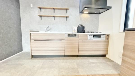 �_�ސ쌧���l�s�_�ސ��_�V�ؑ�̐V�z��ˌ��ẴL�b�`��