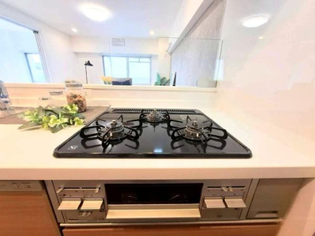 �_�ސ쌧���l�s�_�ސ�揼����4���ڂ̒��Ã}���V�����̃L�b�`��