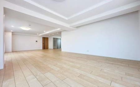 �_�ސ쌧���s������h�͌�5���ڂ̒��Ã}���V�����̃��r���O