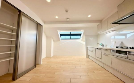 �_�ސ쌧���s������h�͌�5���ڂ̒��Ã}���V�����̃L�b�`��