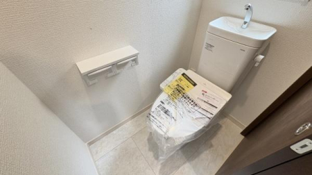 �_�ސ쌧���l�s�`��扺�i�J5���ڂ̐V�z��ˌ��Ẵg�C��