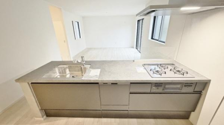 �_�ސ쌧���l�s�h�撷�����̐V�z��ˌ��ẴL�b�`��