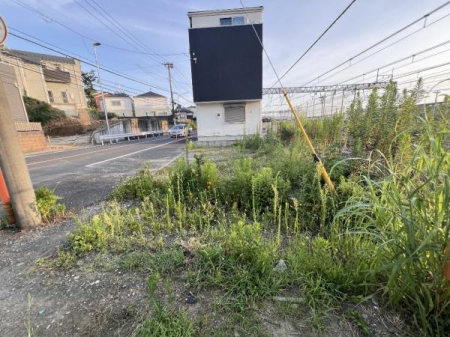 �_�ސ쌧���l�s�˒ˋ��q�c���̐V�z��ˌ��Ă̂��̑����n