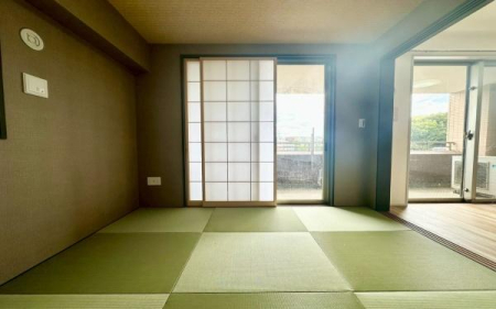 �_�ސ쌧���l�s�s�}��`�c��4���ڂ̒��Ã}���V�����̘a��