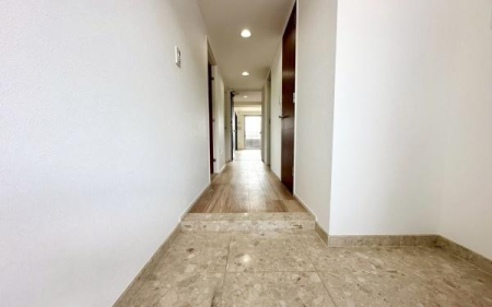 �_�ސ쌧���l�s�s�}��`�c��4���ڂ̒��Ã}���V�����̌���