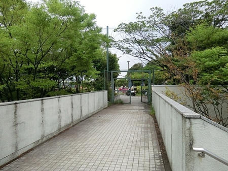 �_�ސ쌧���l�s����{�q��1���ڂ̒��Ã}���V�����̎��ӊ�