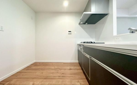 �_�ސ쌧���l�s�_�ސ��_�厛1���ڂ̒��Ã}���V�����̃L�b�`��