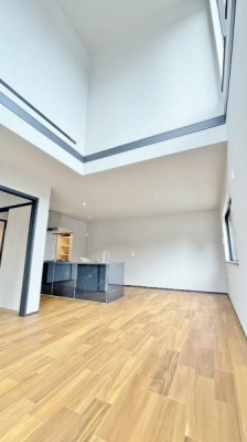 �_�ސ쌧���l�s���V�����̐V�z��ˌ��Ẵ��r���O