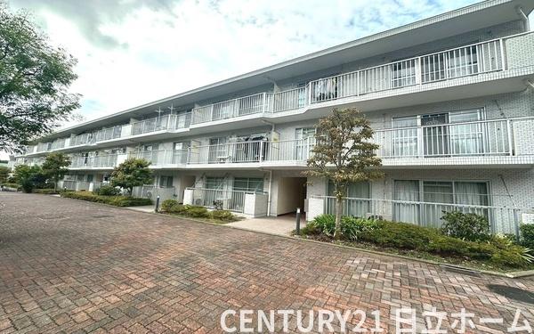 �_�ސ쌧���l�s�˒ˋ敽�˒��̒��Ã}���V�����̂��̑����n