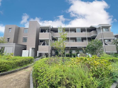 �_�ސ쌧���l�s�s�}���ۂ̒��Ã}���V�����̂��̑����n