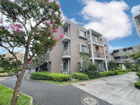 �_�ސ쌧���l�s�s�}���ۂ̒��Ã}���V�����̂��̑����n