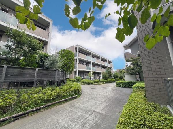 �_�ސ쌧���l�s�s�}���ۂ̒��Ã}���V�����̂��̑����n