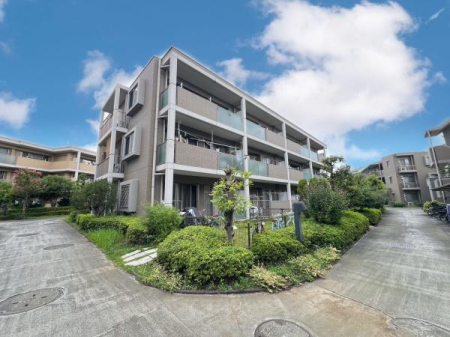 �_�ސ쌧���l�s�s�}���ۂ̒��Ã}���V�����̂��̑����n