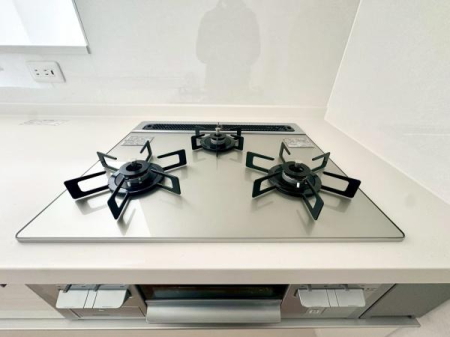 �_�ސ쌧���l�s�`���`��1���ڂ̐V�z��ˌ��ẴL�b�`��