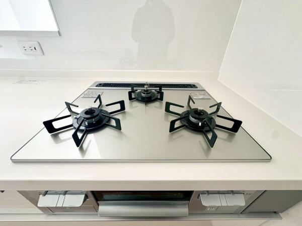 �_�ސ쌧���l�s�`���`��1���ڂ̐V�z��ˌ��ẴL�b�`��