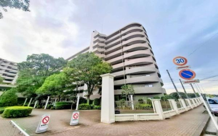 �_�ސ쌧���l�s�h��ѓ����̒��Ã}���V�����̌��n�O�ώʐ^