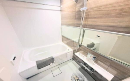 �_�ސ쌧���l�s�h��ѓ����̒��Ã}���V�����̗���