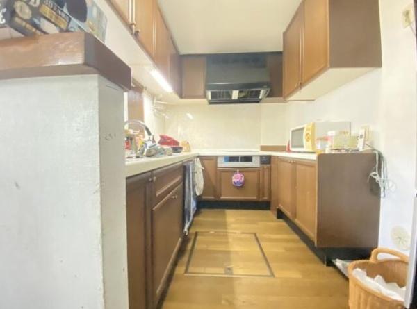 �_�ސ쌧���l�s�h�擌�㋽���̒��È�ˌ��ẴL�b�`��