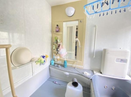 �_�ސ쌧���l�s�h�擌�㋽���̒��È�ˌ��Ă̗���