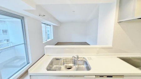 �_�ސ쌧���l�s�ۓy�P�J�拫�ؖ{���̒��Ã}���V�����̃L�b�`��