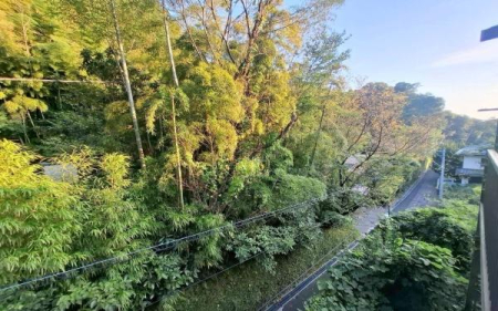 �_�ސ쌧���q�s��m��2���ڂ̒��È�ˌ��Ă̏Z�˂���̒��]�ʐ^