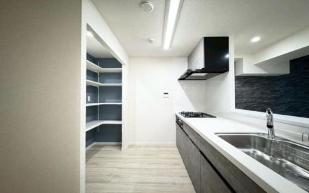 �_�ސ쌧���q�s���{1���ڂ̒��Ã}���V�����̃L�b�`��