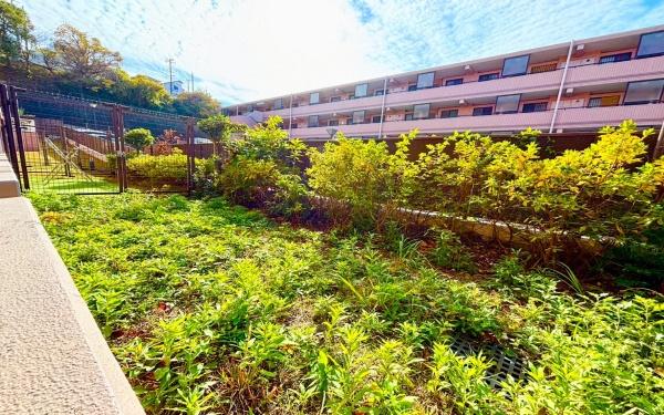 �_�ސ쌧���l�s����搼��2���ڂ̒��Ã}���V�����̒�