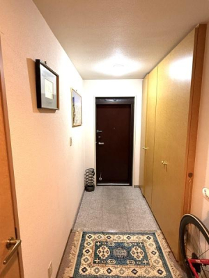 �_�ސ쌧���s���Ë�v���̒��Ã}���V�����̌���