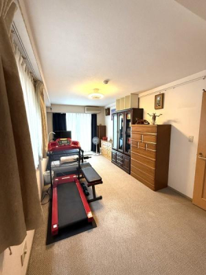 �_�ސ쌧���s���Ë�v���̒��Ã}���V�����̐Q��