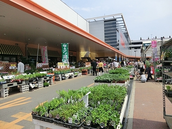 �_�ސ쌧���l�s������蒬2���ڂ̓y�n�̎��ӊ�