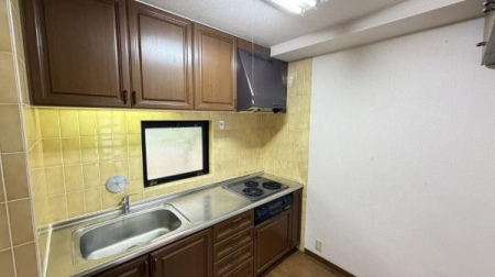 �_�ސ쌧���l�s�`�k����g5���ڂ̒��Ã}���V�����̃L�b�`��