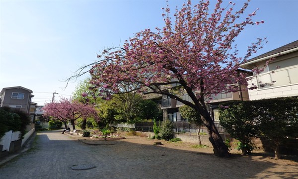 �_�ސ쌧���s���Ë�v�{3���ڂ̒��Ã}���V�����̎��ӊ�