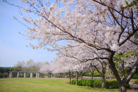 �_�ސ쌧����s�ғ�������1���ڂ̐V�z��ˌ��Ă̎��ӊ�
