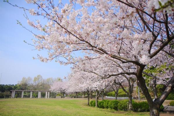 �_�ސ쌧����s�ғ�������1���ڂ̐V�z��ˌ��Ă̎��ӊ�