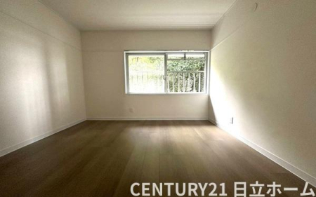 �_�ސ쌧���l�s�s�}��`�c��1���ڂ̒��Ã}���V�����̎q������