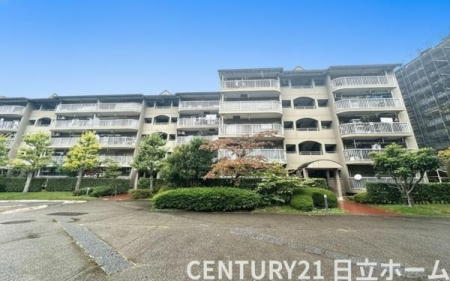 �_�ސ쌧���l�s�s�}��`�c��1���ڂ̒��Ã}���V�����̂��̑����n