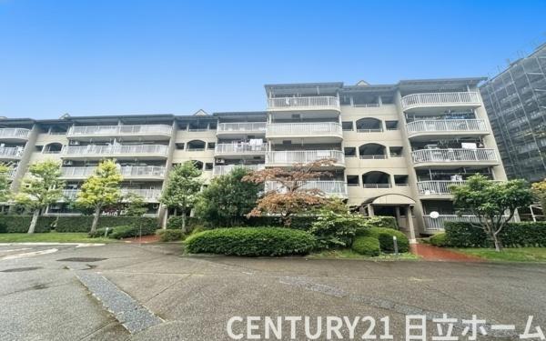 �_�ސ쌧���l�s�s�}��`�c��1���ڂ̒��Ã}���V�����̂��̑����n