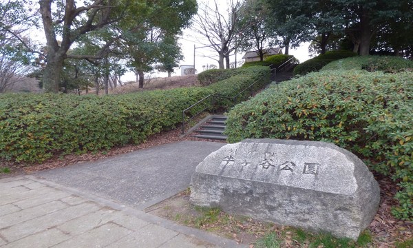 �_�ސ쌧���l�s�s�}��`�c��1���ڂ̒��Ã}���V�����̎��ӊ�