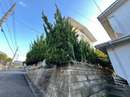 �_�ސ쌧���q�s�����K�l��4���ڂ̓y�n�̂��̑����n