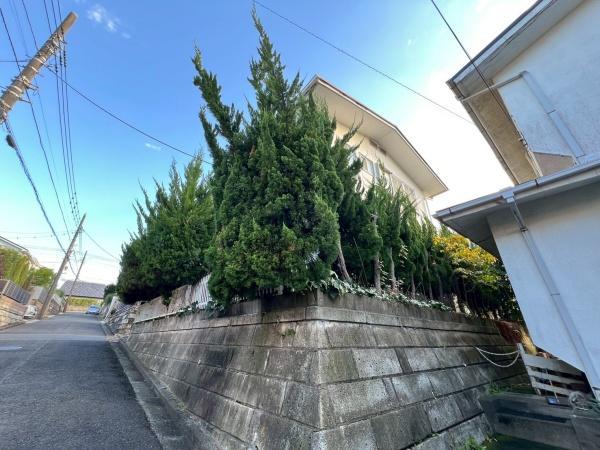 �_�ސ쌧���q�s�����K�l��4���ڂ̓y�n�̂��̑����n