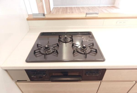 �_�ސ쌧���l�s�ۓy�P�J�敧�����̒��Ã}���V�����̃L�b�`��