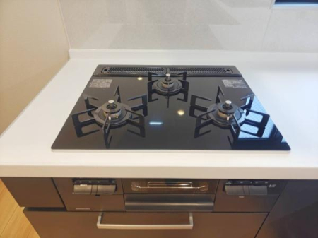 �_�ސ쌧���l�s�h��{����3���ڂ̒��È�ˌ��ẴL�b�`��