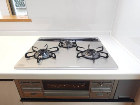 �_�ސ쌧���l�s�h�撷�����̒��È�ˌ��ẴL�b�`��