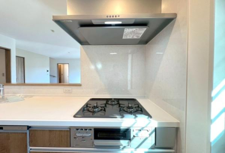 �_�ސ쌧���q�s��D�̐V�z��ˌ��ẴL�b�`��