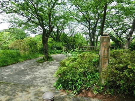 �_�ސ쌧�O�Y�S�t�R�������̒��Ã}���V�����̎��ӊ�