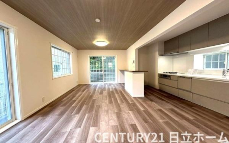 �_�ސ쌧���l�s�ۓy�P�J���Ց�̒��È�ˌ��Ẵ��r���O