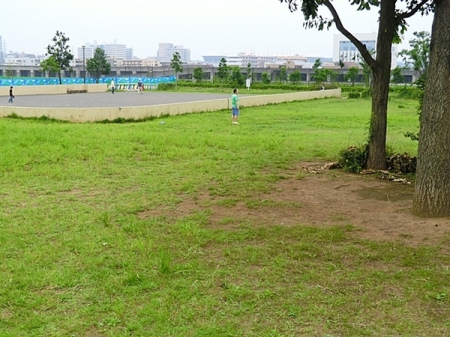 �_�ސ쌧���l�s�`�k���q�R7���ڂ̐V�z��ˌ��Ă̎��ӊ�